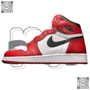 Nike Air Jordan 1 Hight AAJ